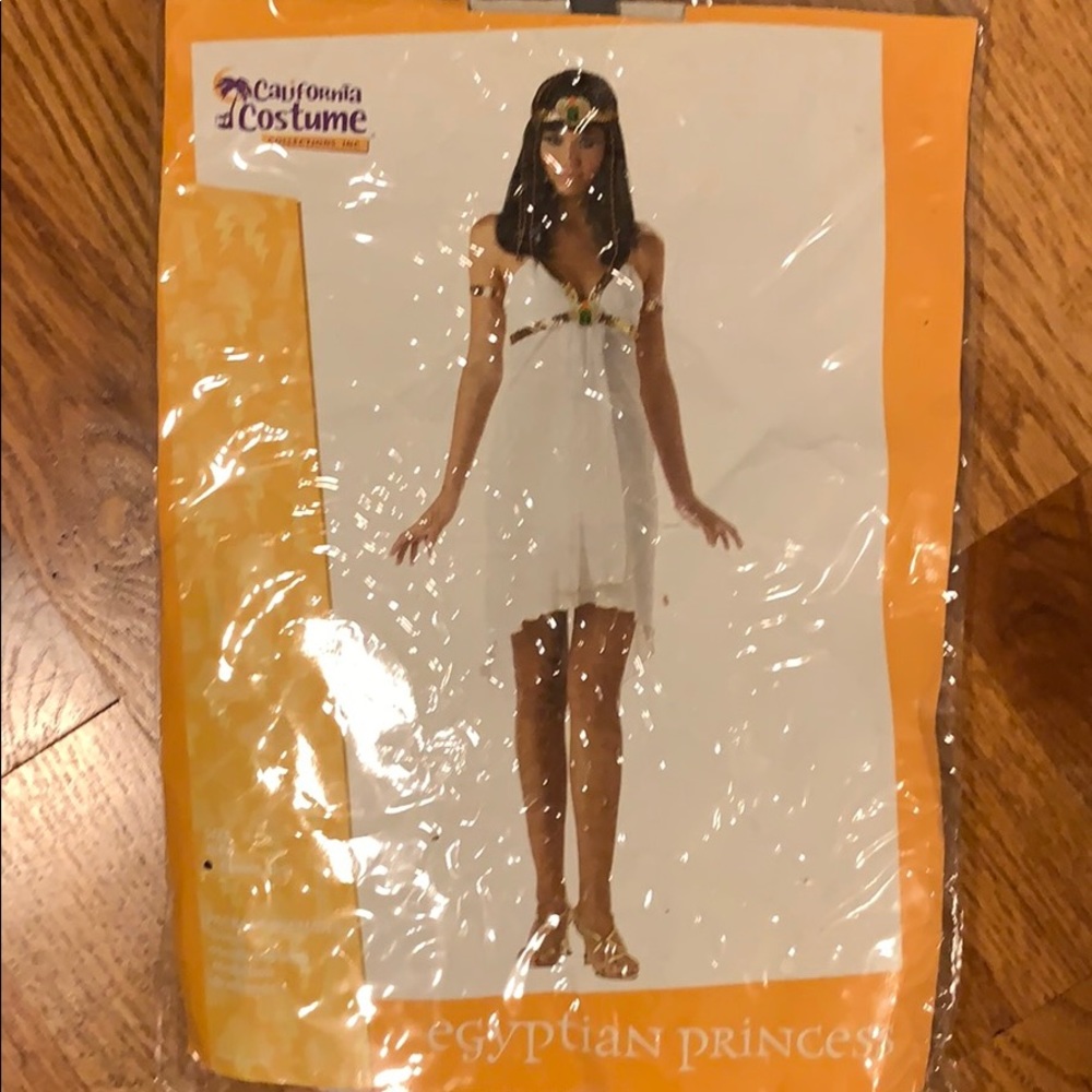 Halloween Costume